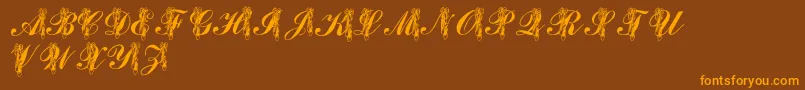 LmsToeShoes Font – Orange Fonts on Brown Background