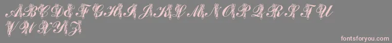 LmsToeShoes Font – Pink Fonts on Gray Background