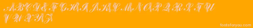 LmsToeShoes Font – Pink Fonts on Orange Background