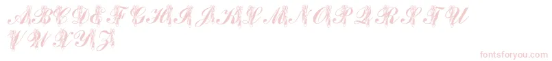 LmsToeShoes-Schriftart – Rosa Schriften auf weißem Hintergrund