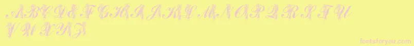 LmsToeShoes Font – Pink Fonts on Yellow Background