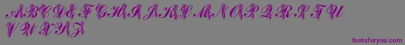 LmsToeShoes Font – Purple Fonts on Gray Background