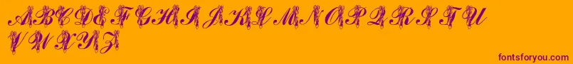 LmsToeShoes-Schriftart – Violette Schriften auf orangefarbenem Hintergrund