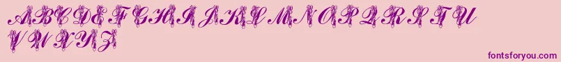 LmsToeShoes-Schriftart – Violette Schriften auf rosa Hintergrund