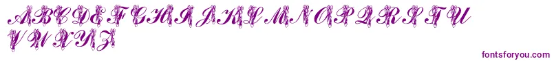 Шрифт LmsToeShoes – фиолетовые шрифты на белом фоне
