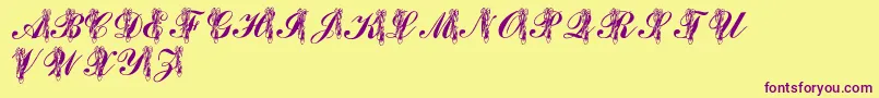 LmsToeShoes Font – Purple Fonts on Yellow Background