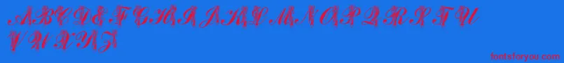 LmsToeShoes Font – Red Fonts on Blue Background