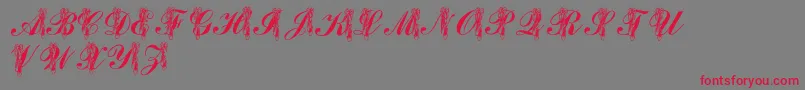 LmsToeShoes Font – Red Fonts on Gray Background