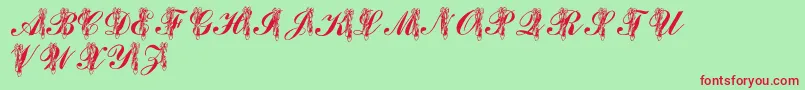 LmsToeShoes-Schriftart – Rote Schriften auf grünem Hintergrund