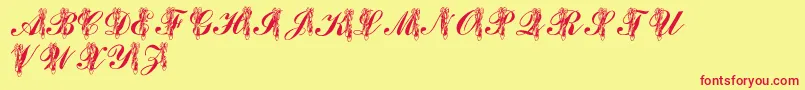 LmsToeShoes Font – Red Fonts on Yellow Background