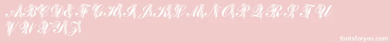 LmsToeShoes Font – White Fonts on Pink Background