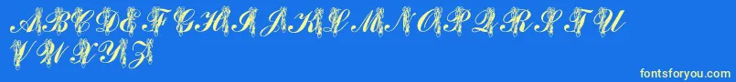 LmsToeShoes Font – Yellow Fonts on Blue Background