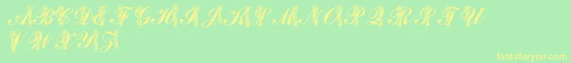 LmsToeShoes Font – Yellow Fonts on Green Background