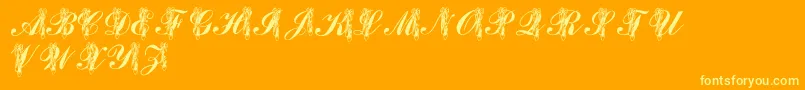 LmsToeShoes-Schriftart – Gelbe Schriften auf orangefarbenem Hintergrund