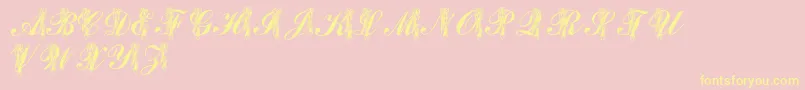 LmsToeShoes-Schriftart – Gelbe Schriften auf rosa Hintergrund