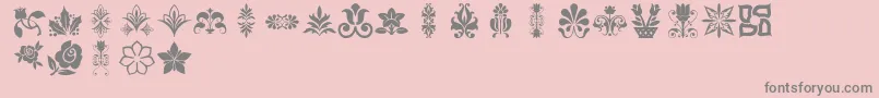 Lpflowers2 Font – Gray Fonts on Pink Background