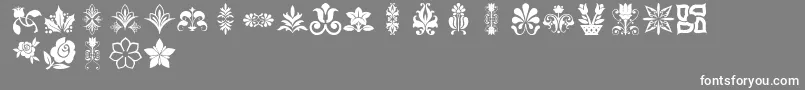 Lpflowers2 Font – White Fonts on Gray Background