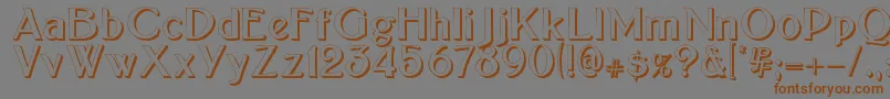 BoltonSansEmbossed Font – Brown Fonts on Gray Background