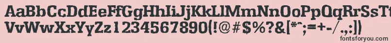 EnschedeantiqueXboldRegular Font – Black Fonts on Pink Background