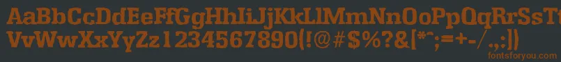 EnschedeantiqueXboldRegular Font – Brown Fonts on Black Background