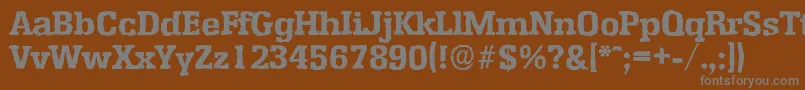 Czcionka EnschedeantiqueXboldRegular – szare czcionki na brązowym tle