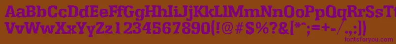 EnschedeantiqueXboldRegular Font – Purple Fonts on Brown Background