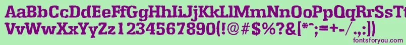 EnschedeantiqueXboldRegular Font – Purple Fonts on Green Background