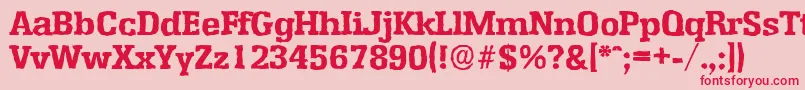 EnschedeantiqueXboldRegular Font – Red Fonts on Pink Background