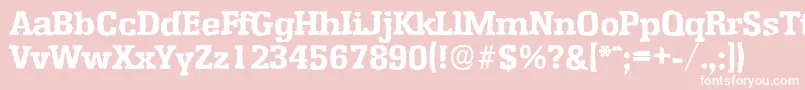 EnschedeantiqueXboldRegular Font – White Fonts on Pink Background