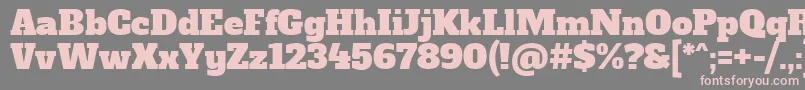 フォントAlfaslaboneRegular – 灰色の背景にピンクのフォント