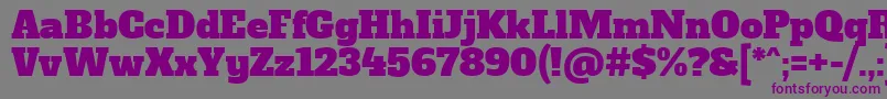 Шрифт AlfaslaboneRegular – фиолетовые шрифты на сером фоне