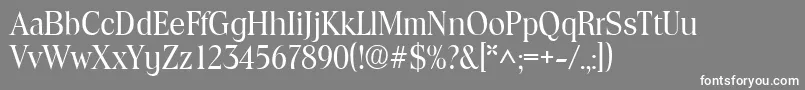 ToledoSf Font – White Fonts on Gray Background