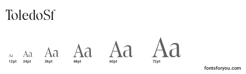 ToledoSf Font Sizes