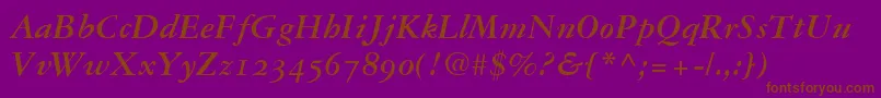 Garamond3BoldItalicOldStyleFigures Font – Brown Fonts on Purple Background