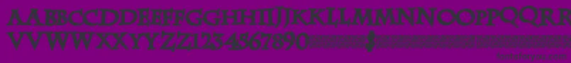 Zebradisco Font – Black Fonts on Purple Background