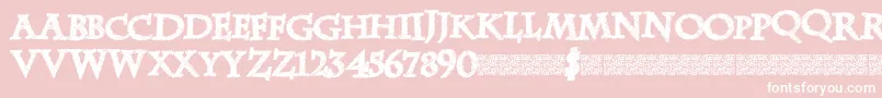 Zebradisco Font – White Fonts on Pink Background