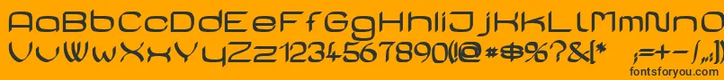 CasaSansFettig Font – Black Fonts on Orange Background