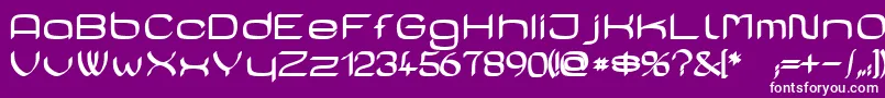 CasaSansFettig Font – White Fonts on Purple Background