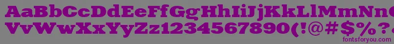 Xna83C Font – Purple Fonts on Gray Background