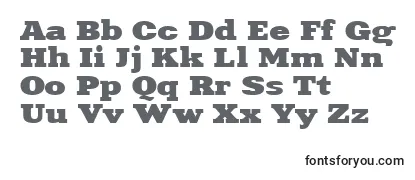 Обзор шрифта Xna83C