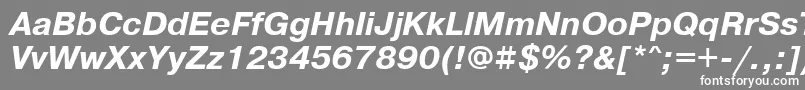 フォントPragmaticamaccttBolditalic – 灰色の背景に白い文字