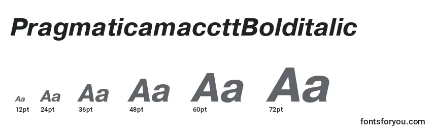 Размеры шрифта PragmaticamaccttBolditalic