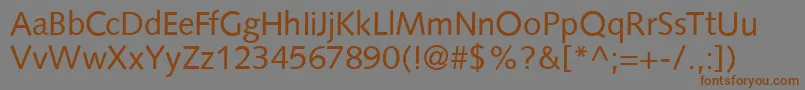S841SansRegular Font – Brown Fonts on Gray Background