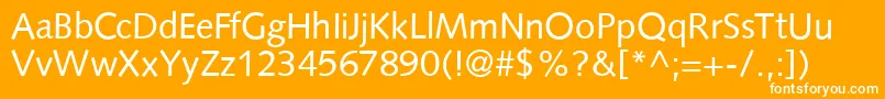 S841SansRegular Font – White Fonts on Orange Background