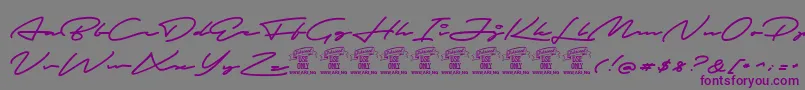 AutografPersonaluseonly-Schriftart – Violette Schriften auf grauem Hintergrund