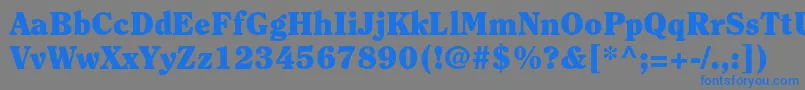 フォントClearfacestdBlack – 灰色の背景に青い文字