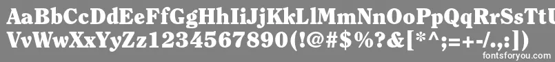 Шрифт ClearfacestdBlack – белые шрифты на сером фоне
