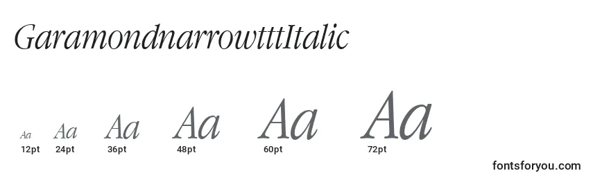 Größen der Schriftart GaramondnarrowtttItalic