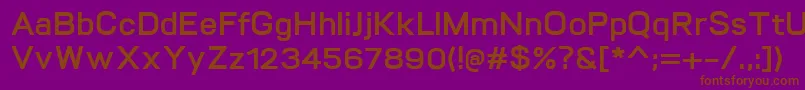 VitroBold Font – Brown Fonts on Purple Background