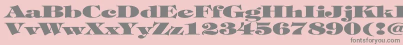 Saiba mais sobre a fonte TiffanyHeavyNormalEx Fonte TiffanyHeavyNormalEx – fontes cinzas em um fundo rosa